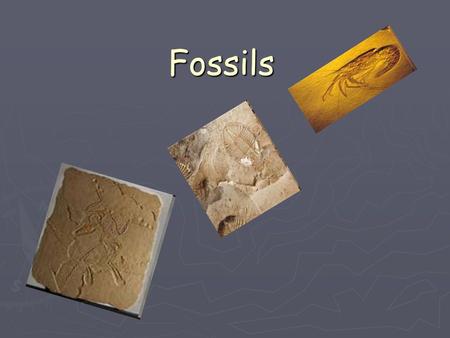 Fossils. What is a fossil ► A fossil is the remains of a living organism. ► Includes bones, teeth, hair or shells ► Can also include impressions, molds.