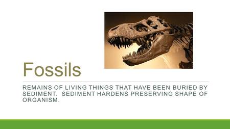 Fossils REMAINS OF LIVING THINGS THAT HAVE BEEN BURIED BY SEDIMENT. SEDIMENT HARDENS PRESERVING SHAPE OF ORGANISM.