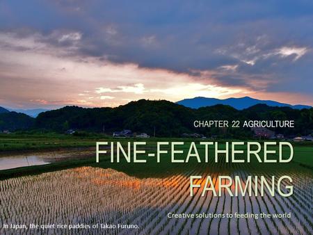 CHAPTER 22 FINE-FEATHERED FARMING CHAPTER 22 AGRICULTURE FINE-FEATHERED FARMING Creative solutions to feeding the world In Japan, the quiet rice paddies.