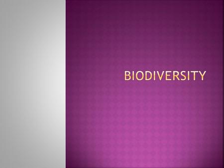  All living things are called organisms.  Biodiversity is the short form of Biological Diversity.  Biodiversity refers to the wide variety of organisms.