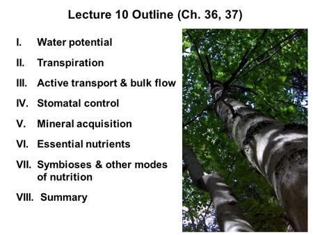 I.Water potential II.Transpiration III.Active transport & bulk flow IV.Stomatal control V.Mineral acquisition VI.Essential nutrients VII.Symbioses & other.