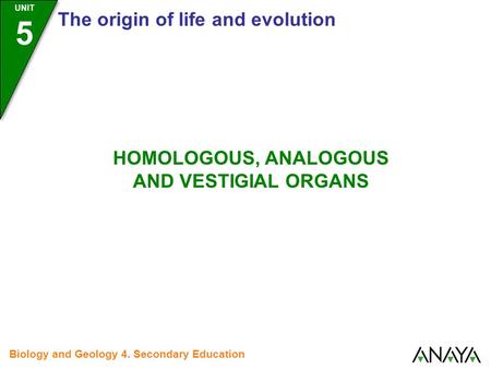 Homologous organs Analogous organs Vestigial organs