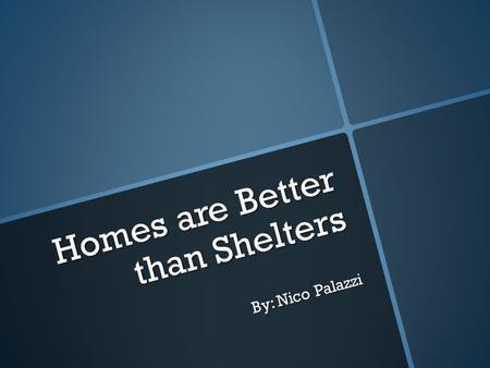 Homes are Better than Shelters By: Nico Palazzi. In a shelter dogs are locked in cages. The cage locks them out of the real world. Instead of being loved.