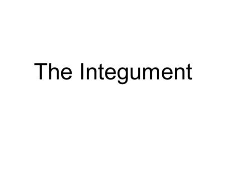 The Integument.