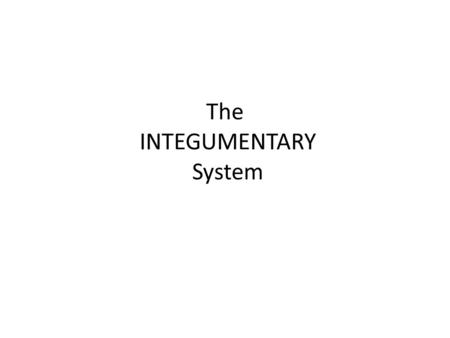 The INTEGUMENTARY System. Functions of the Skin Protection Regulation of Body Temperature Reception of Stimuli Excretion Synthesis of Vitamin D Immunological.