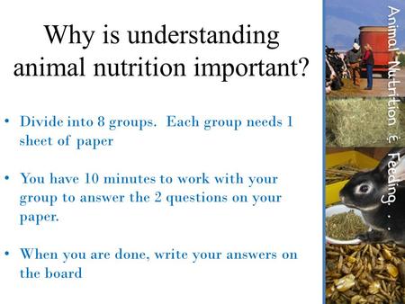 Why is understanding animal nutrition important?