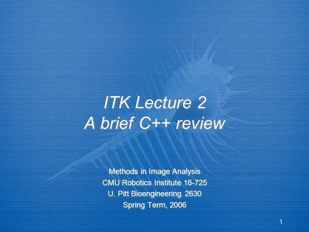 1 ITK Lecture 2 A brief C++ review Methods in Image Analysis CMU Robotics Institute 16-725 U. Pitt Bioengineering 2630 Spring Term, 2006 Methods in Image.