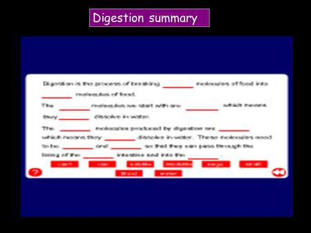 Digestion summary. What goes where? How does chemical digestion happen ?