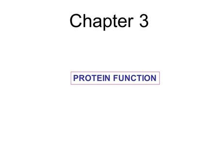 Chapter 3 PROTEIN FUNCTION. All proteins bind to other molecules Binding is selective.