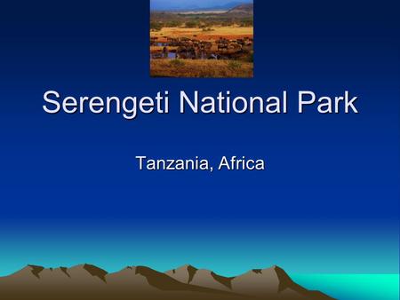 Serengeti National Park Tanzania, Africa. What is the importance of your park?  It is important for its natural and scientific value.