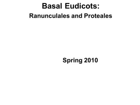 Basal Eudicots: Ranunculales and Proteales