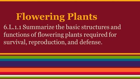 Flowering Plants 6.L.1.1 Summarize the basic structures and functions of flowering plants required for survival, reproduction, and defense.