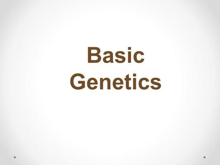 Basic Genetics *. View video at: https://www.youtube.com/watch?v=YxKFdQo10rE.