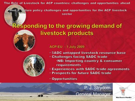 P. J. Strydom General Manager. Cattle 171 000 weaners (8 month; 180 – 240kg) South African feedlots 115 000 steers – EU export abattoirs (Meatco & Witvlei)