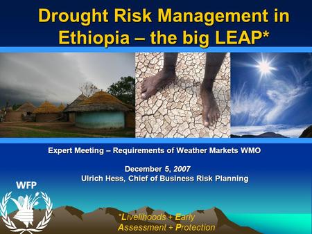 Expert Meeting – Requirements of Weather Markets WMO December 5, 2007 Ulrich Hess, Chief of Business Risk Planning Ulrich Hess, Chief of Business Risk.