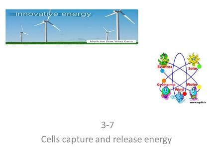 3-7 Cells capture and release energy