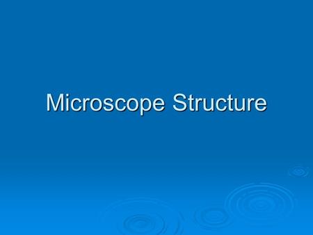 Microscope Structure.
