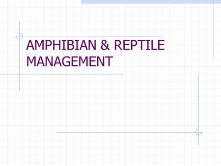 AMPHIBIAN & REPTILE MANAGEMENT. General Considerations Habitat Food Regulation.