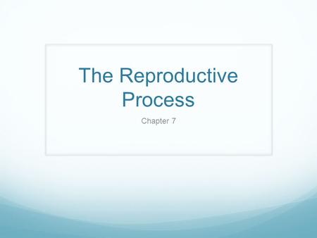 The Reproductive Process