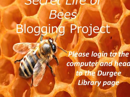 Secret Life of Bees Blogging Project Secret Life of Bees Blogging Project Please login to the computer and head to the Durgee Library page.