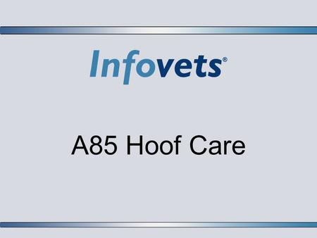 A85 Hoof Care.