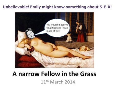 A narrow Fellow in the Grass 11 th March 2014 Unbelievable! Emily might know something about S-E-X! You wouldn’t believe what Sigmund Freud made of this!