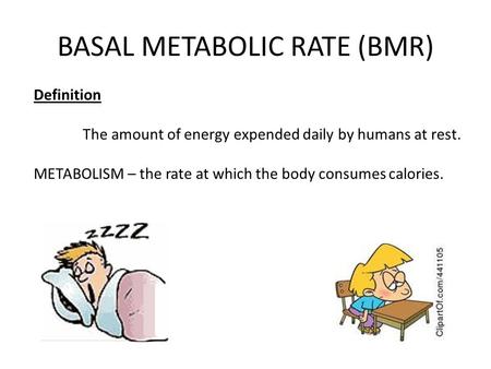 BASAL METABOLIC RATE (BMR) Definition The amount of energy expended daily by humans at rest. METABOLISM – the rate at which the body consumes calories.