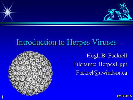 Introduction to Herpes Viruses