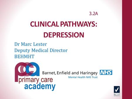 CLINICAL PATHWAYS: DEPRESSION