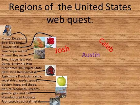 Regions of the United States web quest. Caleb Austin Josh Motto: Excelsior Bird: Blue Bird Flower: Rose Tree: Sugar maple Animal: Beaver Song: I love New.