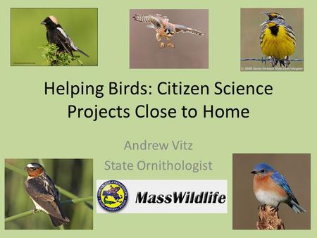 Helping Birds: Citizen Science Projects Close to Home Andrew Vitz State Ornithologist.