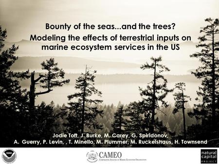 Bounty of the seas...and the trees? Modeling the effects of terrestrial inputs on marine ecosystem services in the US Jodie Toft, J. Burke, M. Carey, G.