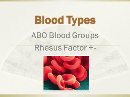 ABO Blood Groups Rhesus Factor +-