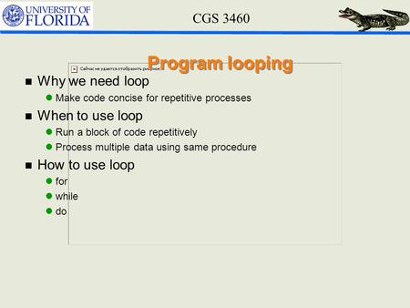 CGS 3460 Program looping n Why we need loop lMake code concise for repetitive processes n When to use loop lRun a block of code repetitively lProcess multiple.