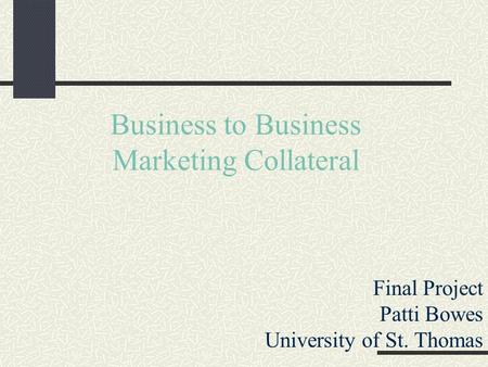 Business to Business Marketing Collateral Final Project Patti Bowes University of St. Thomas.
