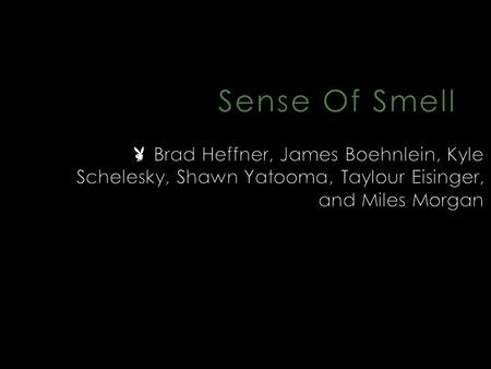  The sense of smell is referred to as the “ Olfaction ”.  Our Olfaction depends on the ability of us to detect chemicals.  Our sense of smell is not.