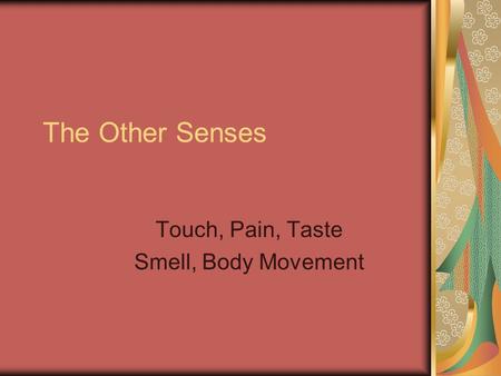 The Other Senses Touch, Pain, Taste Smell, Body Movement.
