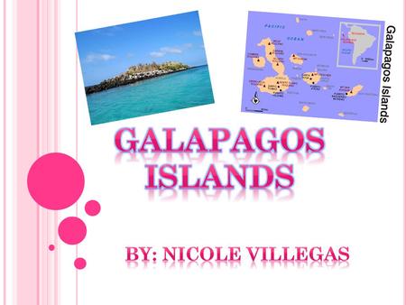 The Galapagos Islands are located 6000 miles off the coast of Ecuador. The Galapagos Islands belong to the country Ecuador. The Islands lie in the Pacific.