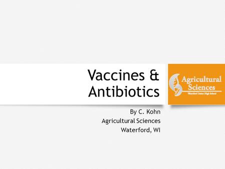 Vaccines & Antibiotics