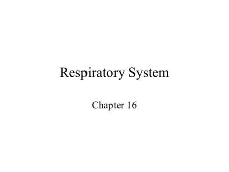 Respiratory System Chapter 16. The Respiratory System Functions Exchange of O 2 and CO 2 btw atmosphere and blood Regulation of blood and tissue pH.