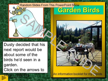 www.ks1resources.co.uk Garden Birds An information booklet for my friends Dusty decided that his next report would be about some of the birds he’d seen.