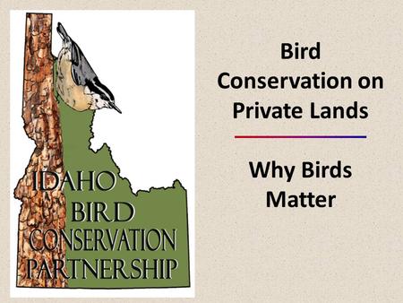 Bird Conservation on Private Lands Why Birds Matter.