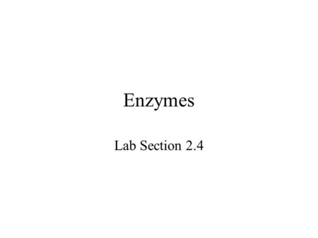 Enzymes Lab Section 2.4 Enzymes Protein catalysts Have complex 3-D structures Pockets act as active sites –catalyze specific chemical reactions E + S.