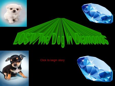 Click to begin story Luis (the dog hunter) is on a quest to find a lost dog - one covered in diamonds. Should he go To Wild wood Wild wood or Dark mirror.