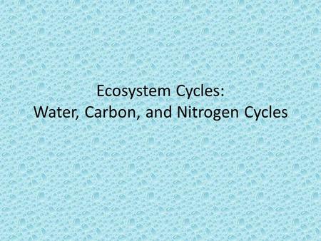 Ecosystem Cycles: Water, Carbon, and Nitrogen Cycles