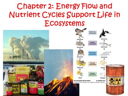 Chapter 2: Energy Flow and Nutrient Cycles Support Life in Ecosystems