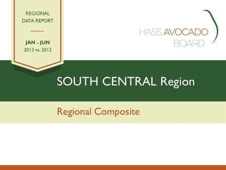 SOUTH CENTRAL Region Regional Composite REGIONAL DATA REPORT JAN - JUN 2013 vs. 2012.