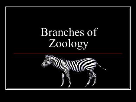 Branches of Zoology. The study of insects. Entomology.