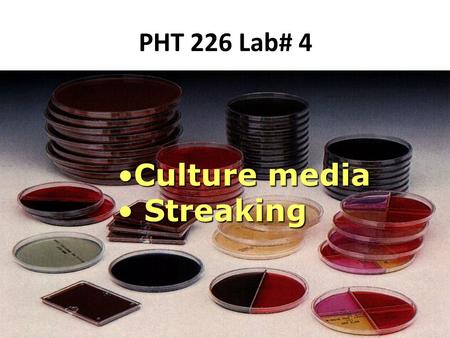 PHT 226 Lab# 4 Culture media Streaking.