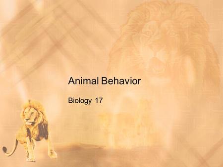 Animal Behavior Biology 17. Why Study Animal Behavior???